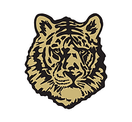 Broken Arrow High School Football logo